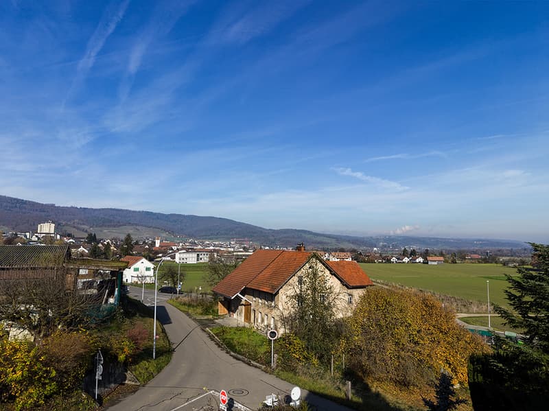 Exklusive und bewilligte Arealüberbauung (4)