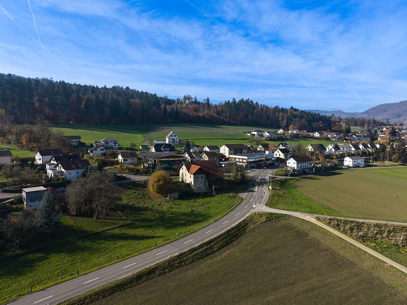 Exklusive und bewilligte Arealüberbauung (3)