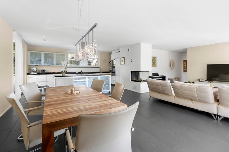 Modern living with a far-reaching view into the green in a quiet and city-near location (2)