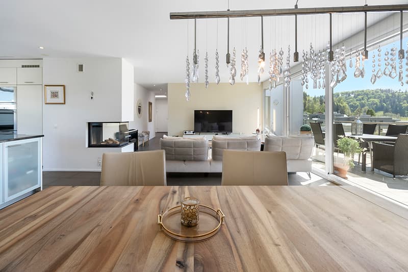 Modern living with a far-reaching view into the green in a quiet and city-near location (3)