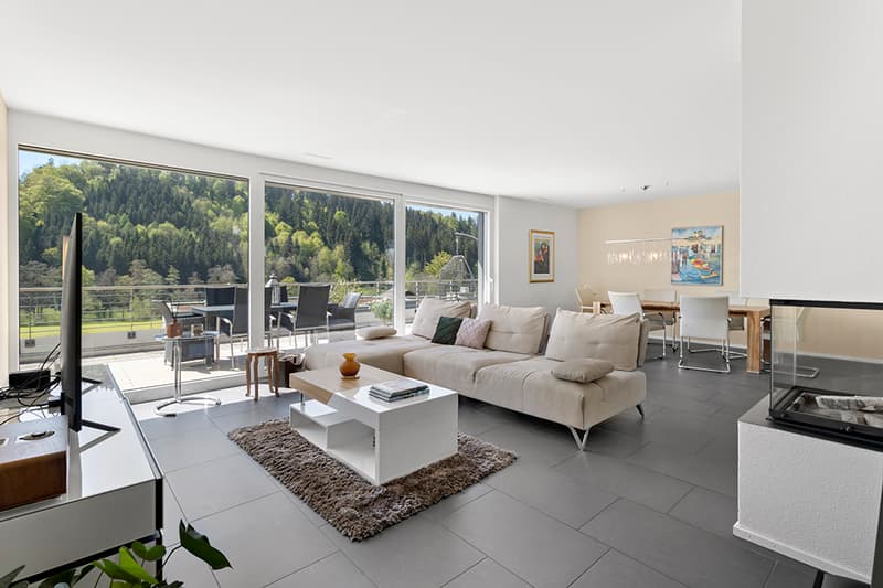 Modern living with a far-reaching view into the green in a quiet and city-near location (4)