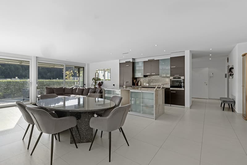 Appartement familial moderne avec jardin près de Zurich et Zug (3)