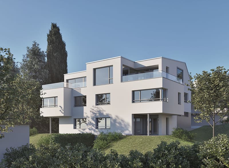 Nouvelle construction : demi-maison mitoyenne exclusive dans un emplacement idéal à Wettswil am Albis (1)