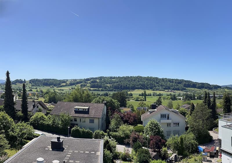 Nouvelle construction : demi-maison mitoyenne exclusive dans un emplacement idéal à Wettswil am Albis (5)