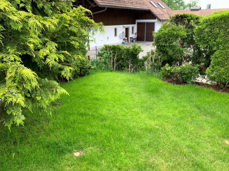 Charming 7.5-room farmhouse (6)