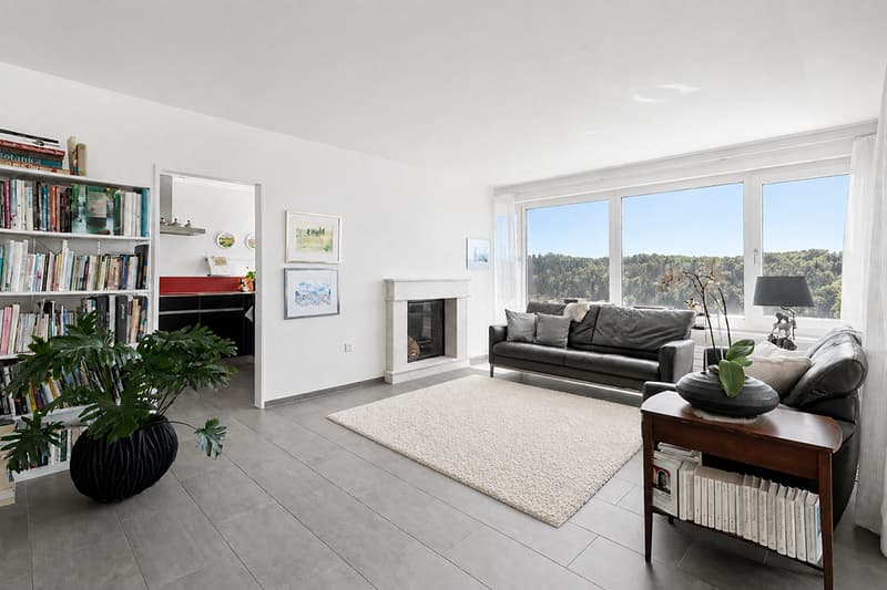 Stilvolle Attika-Terrassenwohnung mit Panoramasicht (3)