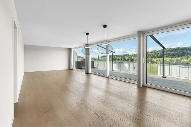 Exklusive Attikawohnung mit grosser Sonnenterrasse und Weitblick (3)