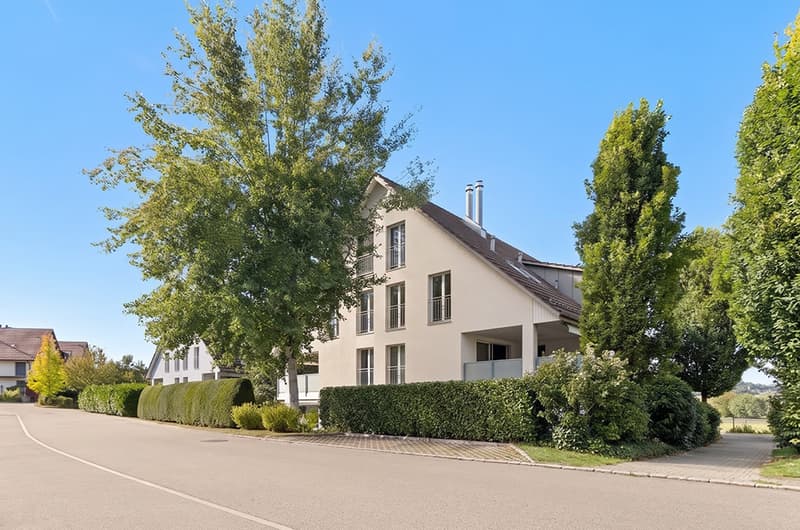 Grosszügige 5.5-Zimmer-Maisonette-Wohnung mit Weitsicht (7)