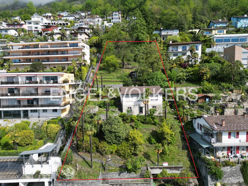 Great investment - large, sunny plot (30) (3)
