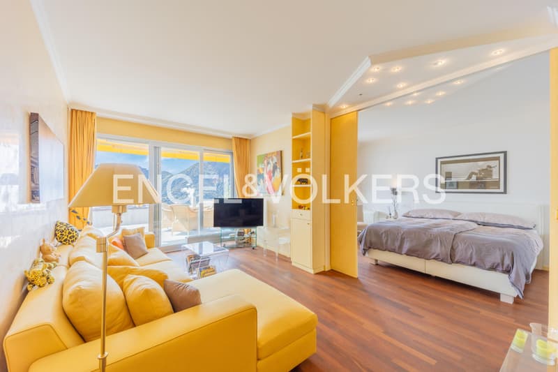 Apartment with lake view terrace (6) (4)