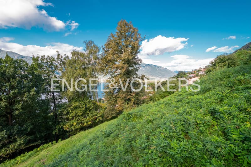 Idyllic plot of land with a view of Lake Maggiore (1) (4)