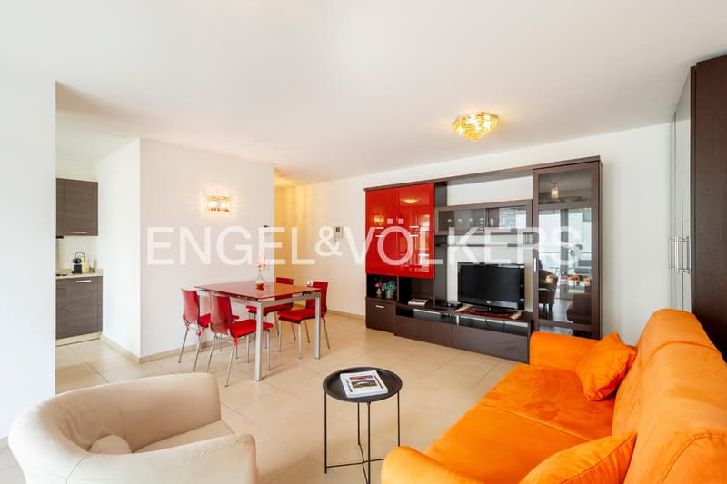 Experience Ascona - Apartment just a few steps from the lake (41) (4)