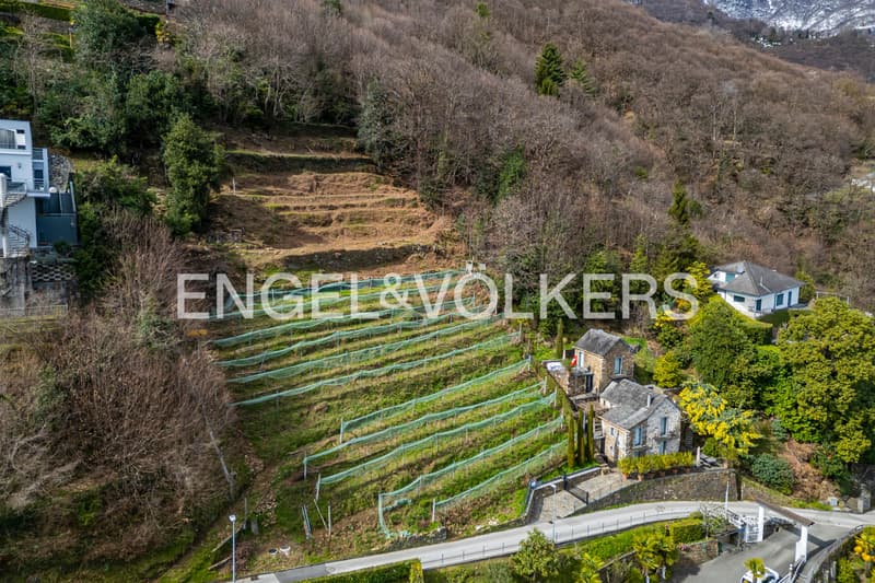 Large building plot with dream lake view (86b) (4)