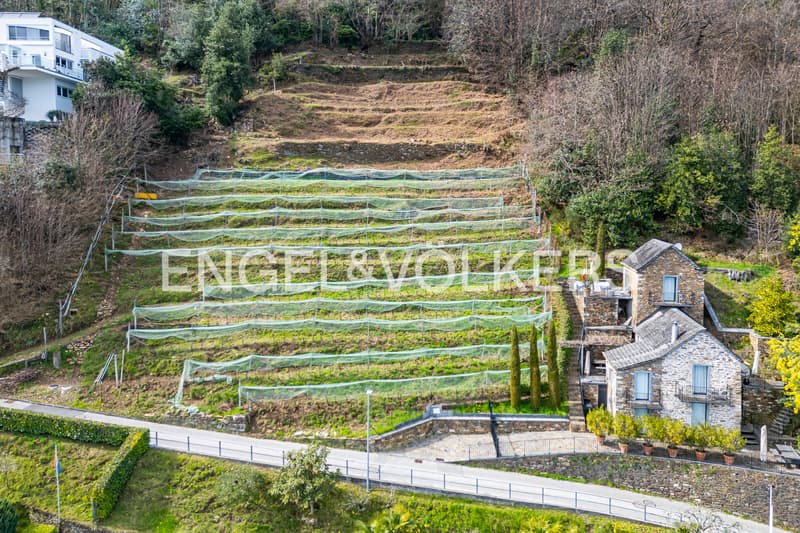 Large building plot with dream lake view (86b) (5)