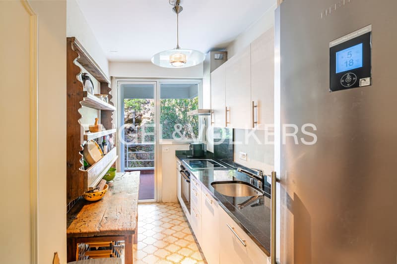 Panoramic apartment within walking distance to Ascona (50) (5)