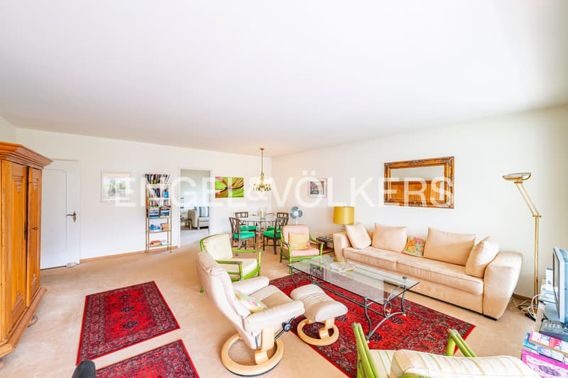 Panoramic apartment within walking distance to Ascona (50) (4)