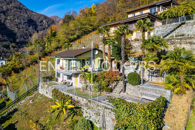 Ein privilegierter Platz in der Sonne im Tessin (16) (2)