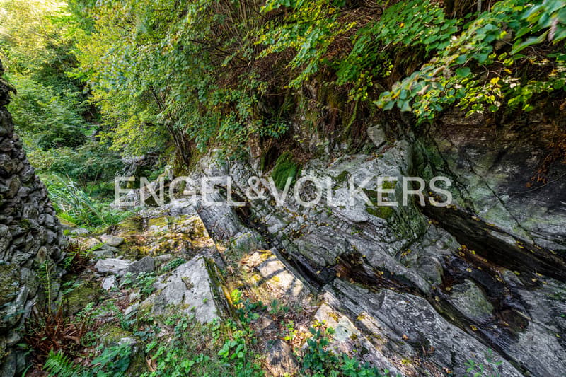 Ruhig und sonnig mitten in der Natur (18) (10)