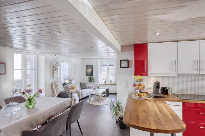 Bâtiment Riegel au caractère avec deux unités d'habitation interprétées de manière moderne ! (3)