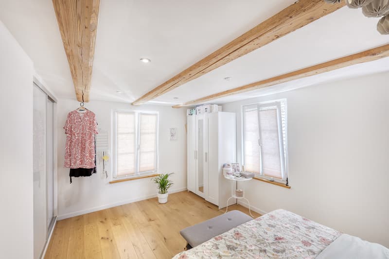 Bâtiment Riegel au caractère avec deux unités d'habitation interprétées de manière moderne ! (8)