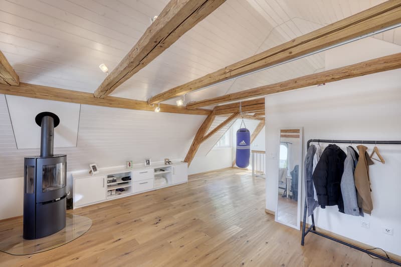 Bâtiment Riegel au caractère avec deux unités d'habitation interprétées de manière moderne ! (9)