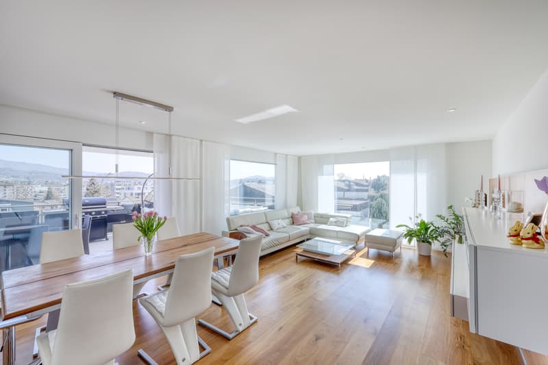 Light, Panoramic View, Quality of Life - Your New Home in Neuenhof (1)