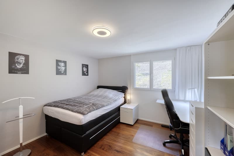 Light, Panoramic View, Quality of Life - Your New Home in Neuenhof (10)