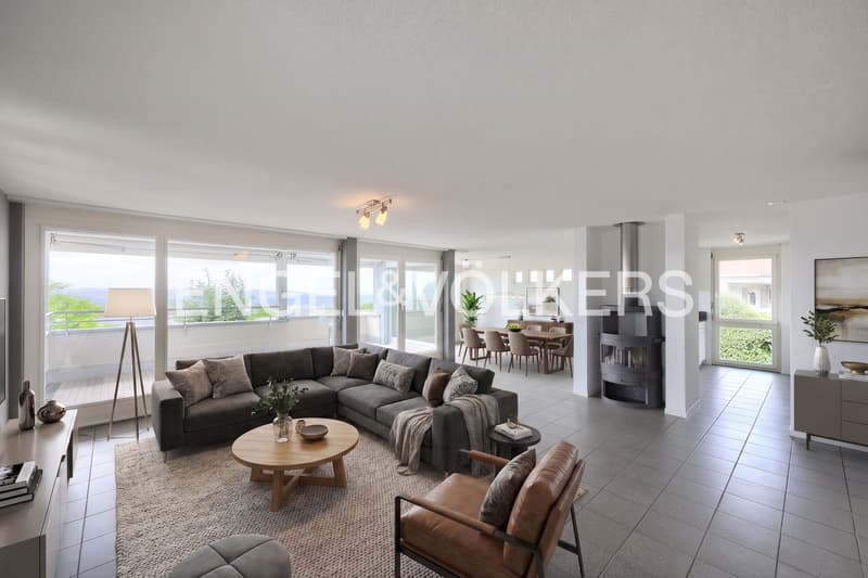 Sunny terrace single-family house with a magnificent view (3)