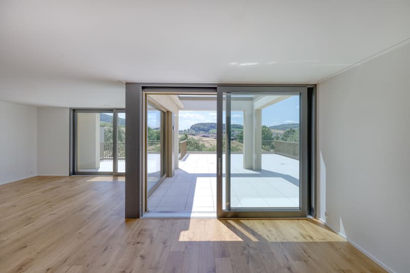 Erstbezug: Exklusive Attika-Maisonette mit grosser Panoramaterrasse (2)