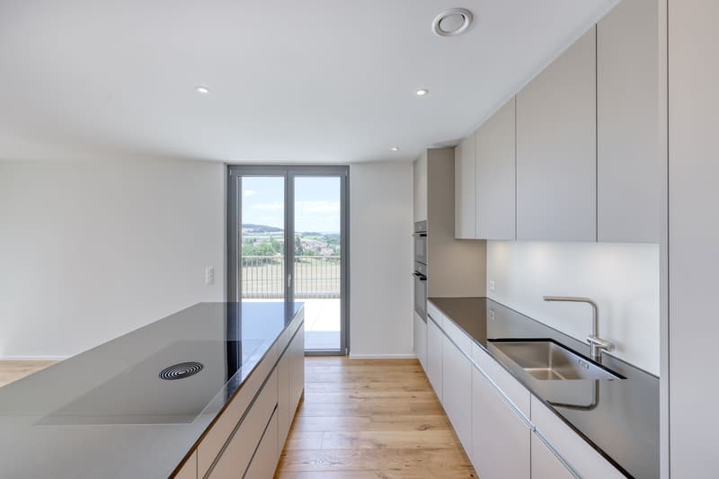 Erstbezug: Exklusive Attika-Maisonette mit grosser Panoramaterrasse (3)