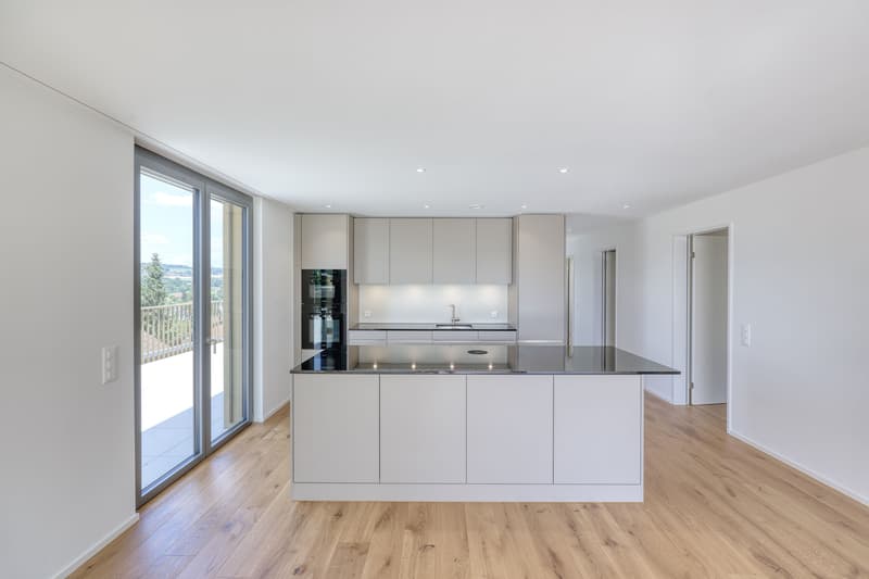Erstbezug: Exklusive Attika-Maisonette mit grosser Panoramaterrasse (4)