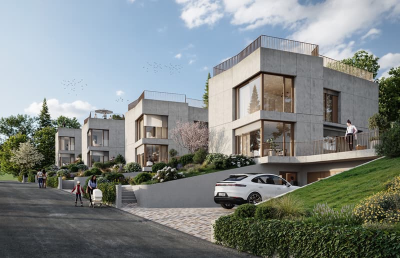 House C - New Construction Project: Quartett am Dürrberg (Premium) (2)