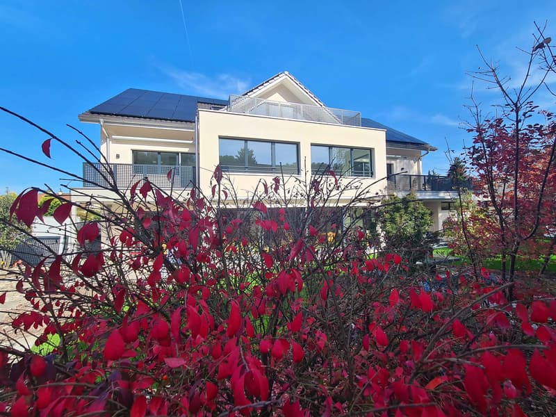 Modern barrier-free living with a great view (10)