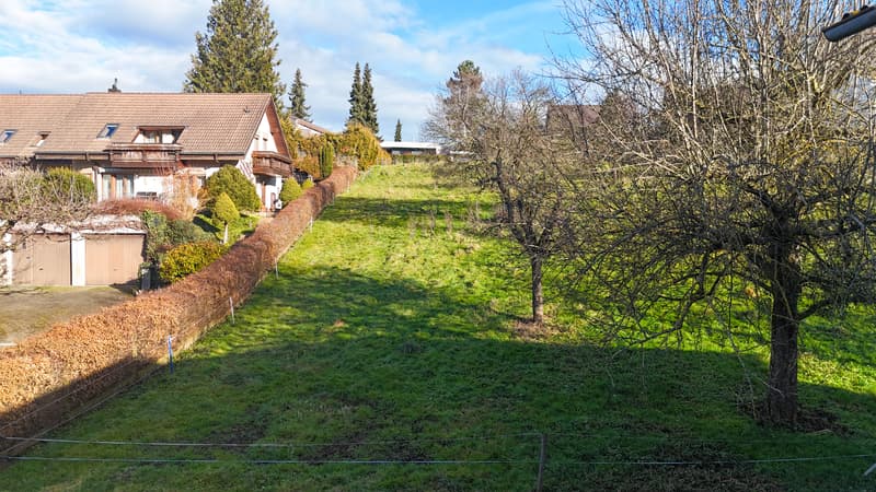 2'972 m² di grande terreno edificabile con casa colonica (3)