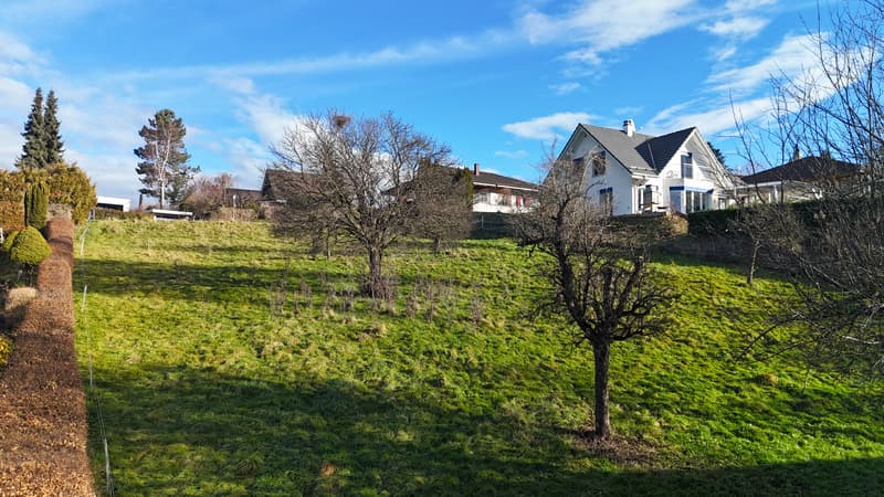 2'972 m² di grande terreno edificabile con casa colonica (2)
