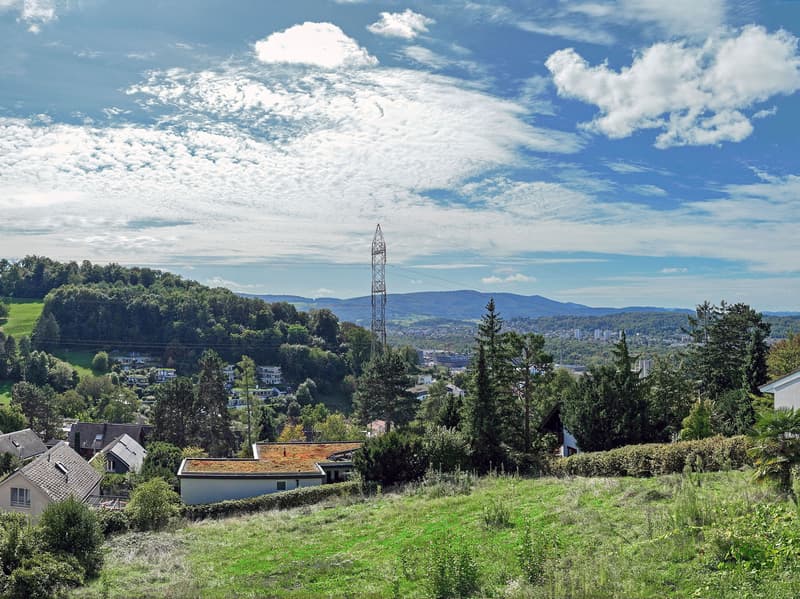 Freistehendes Einfamilienhaus mit Garten (Haus 5) in Münchenstein (6)