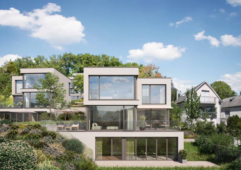 Freistehendes Einfamilienhaus mit Garten (Haus 5) in Münchenstein (1)