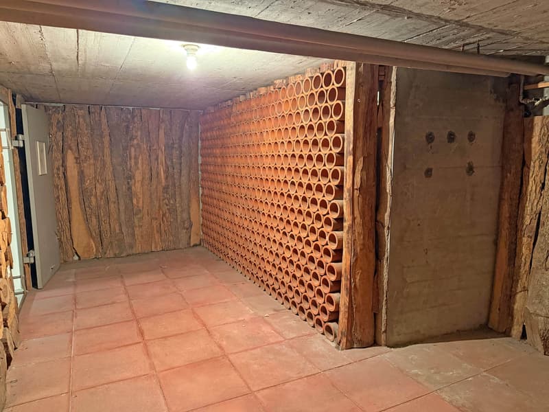 Reiheneckhaus mit Indoor Pool und Potenzial (11)