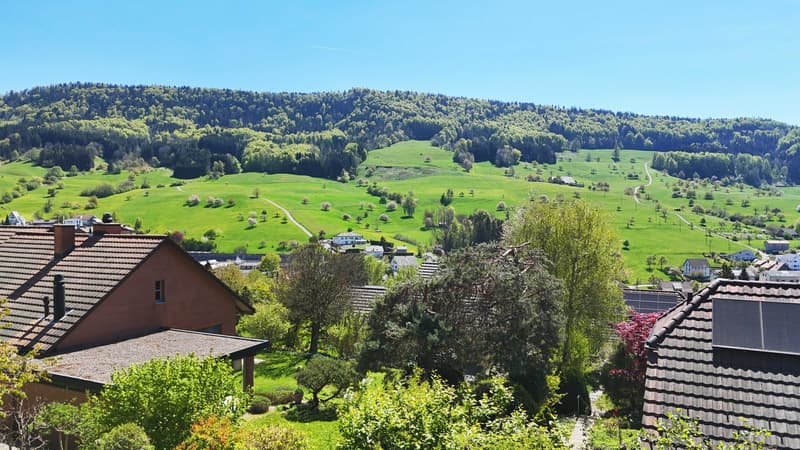Grünblick, Geborgenheit & ganz viel Zuhause (13)