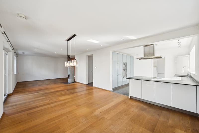 Ein Haus, das Raum zum Leben lässt - Modernes Einfamilienhaus mit Gart (3)