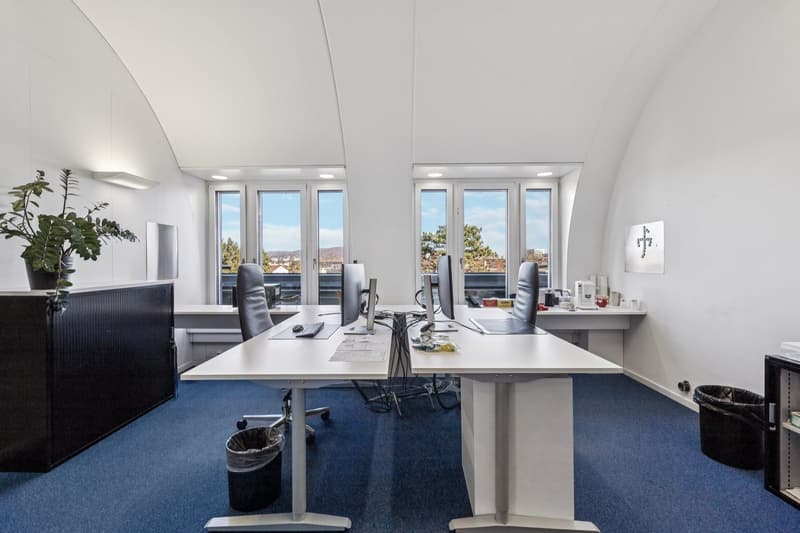 modern office with desk, computers, plant, carpet, trash bins