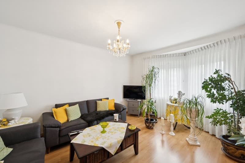 Charming multi-family houses in a popular residential area (2)
