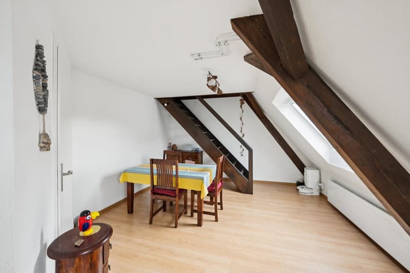 Charming multi-family houses in a popular residential area (11)