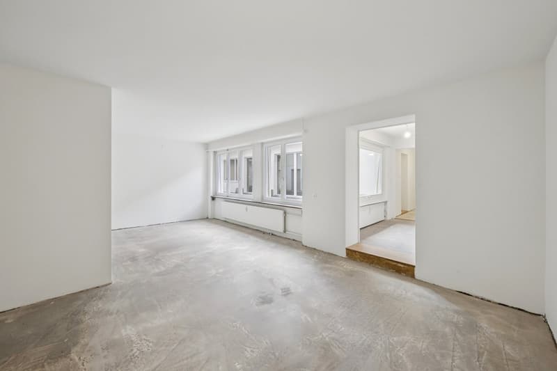 RENOVIERTE FLÄCHE MIT HOFGEBÄUDE (7)