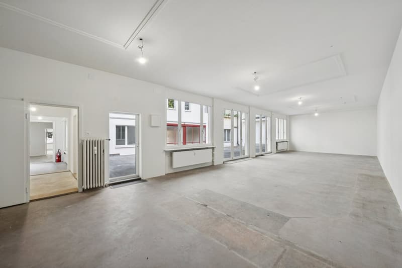 RENOVIERTE FLÄCHE MIT HOFGEBÄUDE (8)