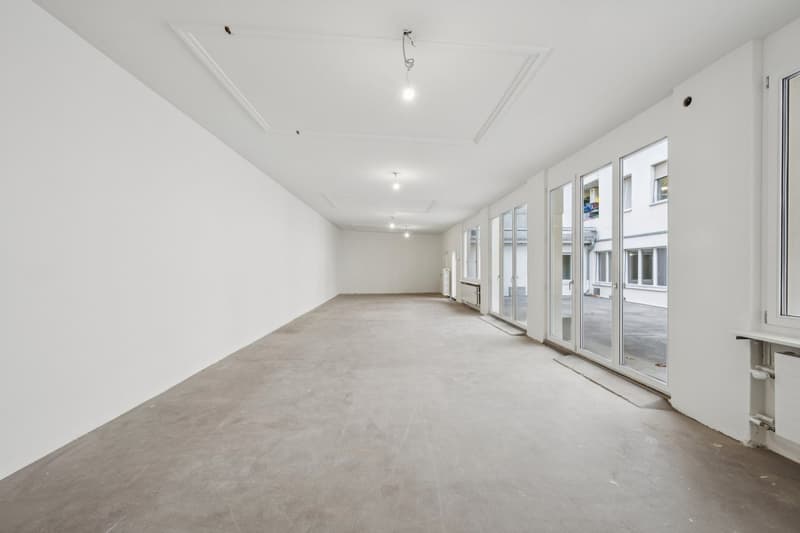 RENOVIERTE FLÄCHE MIT HOFGEBÄUDE (5)