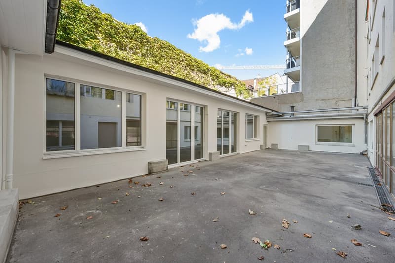 RENOVIERTE FLÄCHE MIT HOFGEBÄUDE (3)