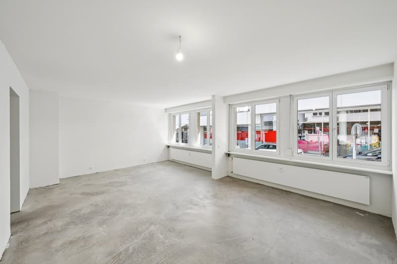 RENOVIERTE FLÄCHE MIT HOFGEBÄUDE (6)