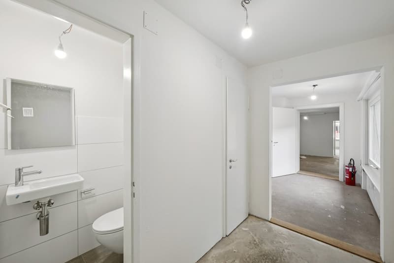 RENOVIERTE FLÄCHE MIT HOFGEBÄUDE (9)