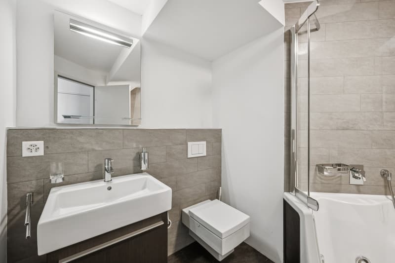 Appartement de jardin exclusif - Votre refuge à Bottmingen (10)